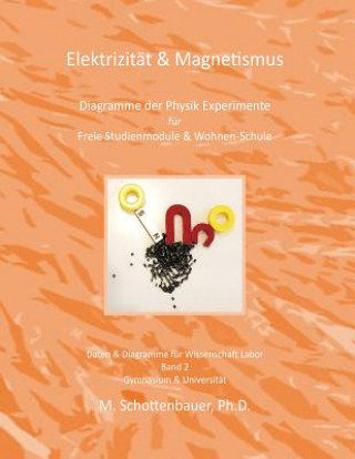 Kniha Elektrizität & Magnetismus: Band 2: Diagramme der Physik Experimente für Freie Studienmodule & Wohnen-Schule M Schottenbauer