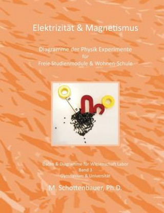 Kniha Elektrizität & Magnetismus: Band 3: Diagramme der Physik Experimente für Freie Studienmodule & Wohnen-Schule M Schottenbauer