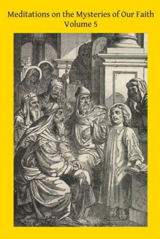 Kniha Meditations on the Mysteries of Our Faith: Together With A Treatise on Mental Prayer Father Louis De Ponte Sj