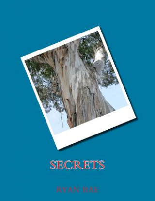 Knjiga Secrets Ryan Thomas Bae