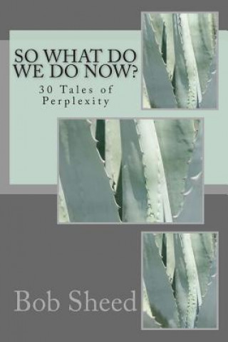 Książka So What Do We Do Now?: 30 Tales of Perplexity MR Bob Sheed