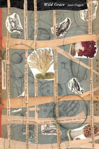 Knjiga Wild Grace: Poems Janet Doggett