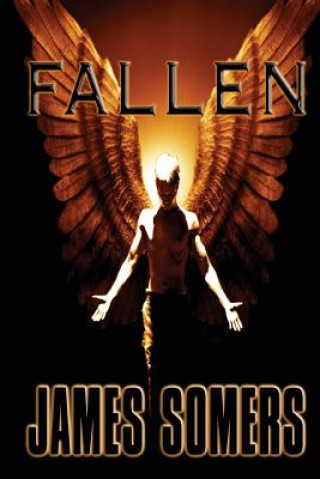 Boek Fallen James Somers