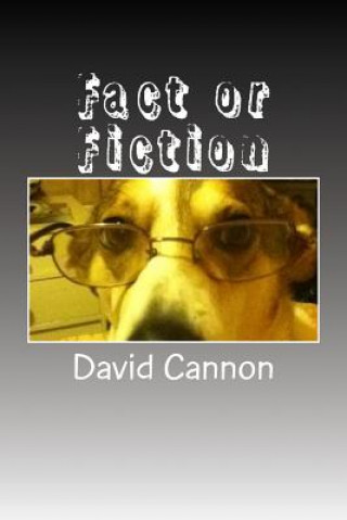 Book Fact or Fiction: Money, Technology, Governments and Much More MR David G Cannon