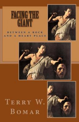 Buch Facing the Giant: Between a Rock and a Heart Place Terry W Bomar