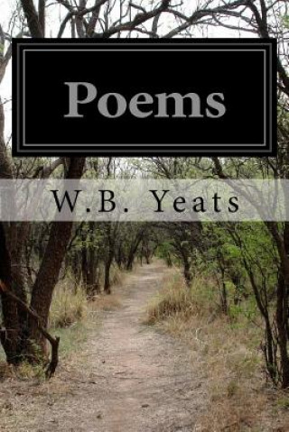 Книга Poems W B Yeats
