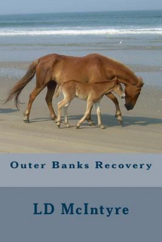 Carte Outer Banks Recovery LD McIntyre