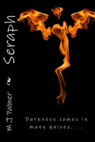 Boek Seraph M J Palmer