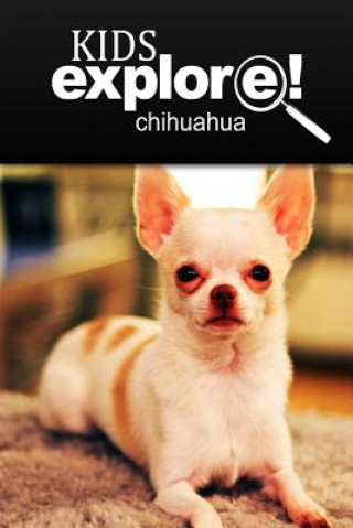 Kniha Chihuahua - Kids Explore: Animal books nonfiction - books ages 5-6 Kids Explore!