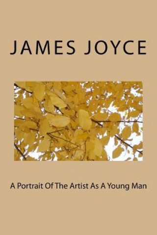 Kniha A Portrait Of The Artist As A Young Man MR James Joyce