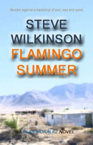 Kniha Flamingo Summer Steve Wilkinson