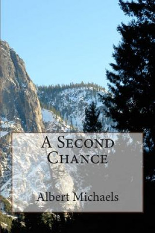 Buch A Second Chance Albert Michaels