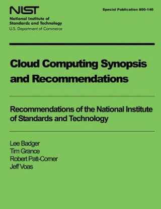 Kniha Cloud Computing Synopsis and Recommendations Lee Badger