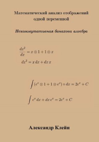 Carte Single Variable Calculus (Russian Edition): Banach Algebra Aleks Kleyn