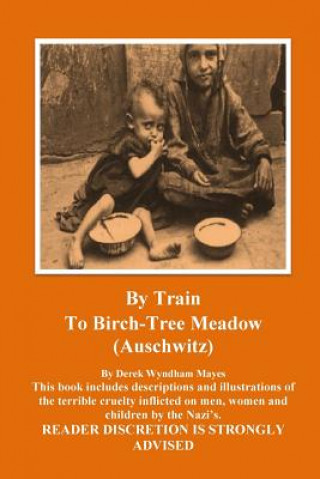 Kniha Auschwitz - By Train To Birch Tree Meadow MR Derek Wyndham Mayes