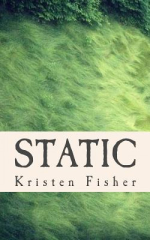 Knjiga Static Kristen Fisher