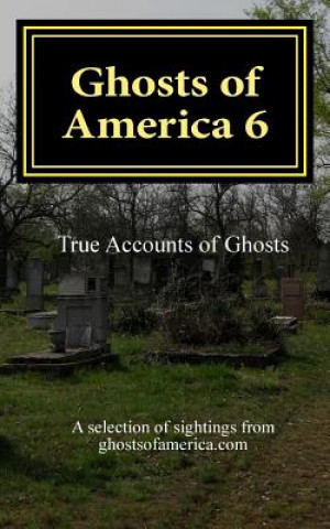 Kniha Ghosts of America 6 Nina Lautner