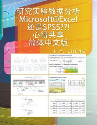 Kniha Microsoft(r)Excel SPSS Py Cheng