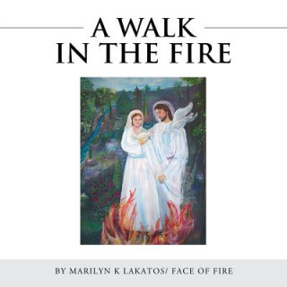 Книга Walk in the Fire Marilyn K Lakatos Face of Fire