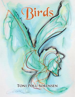 Kniha Birds Toni Poll-Sorensen