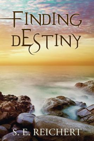 Kniha Finding Destiny S E Reichert