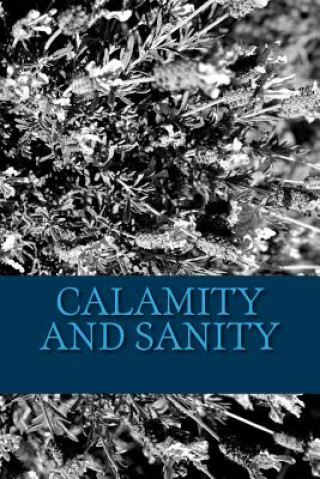 Könyv Calamity and Sanity Dollie Twomey