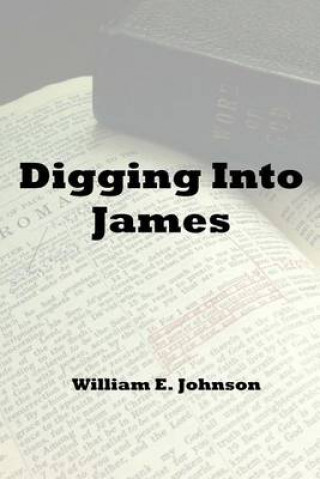 Kniha Digging Into James William E Johnson