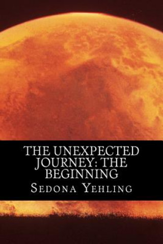 Buch The Unexpected Journey: The Beginning Sedona K Yehling