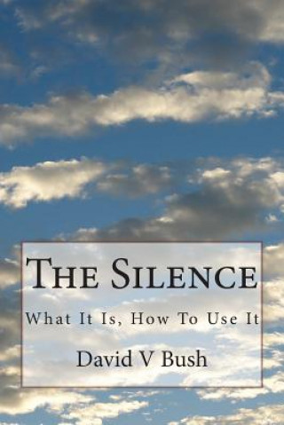 Kniha The Silence: What It Is, How To Use It David V Bush