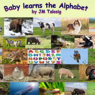 Knjiga Baby Learns the Alphabet Jm Talosig