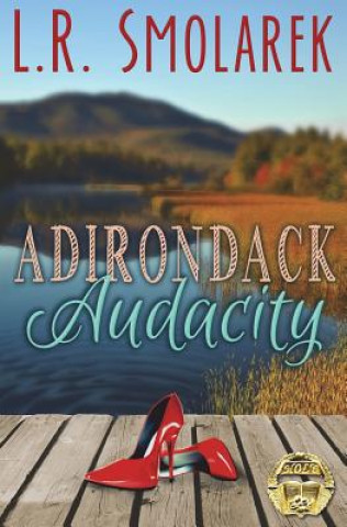 Knjiga Adirondack Audacity L R Smolarek