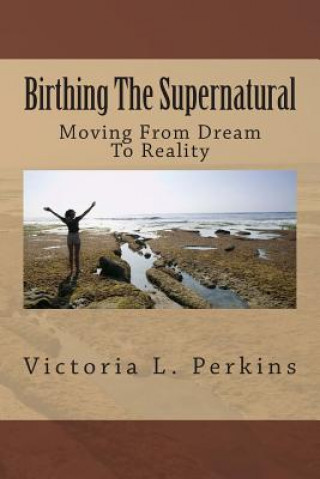 Knjiga Birthing The Supernatural: Moving From Dream To Reality Victoria L Perkins