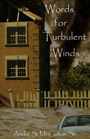 Buch Words for Turbulent Winds MR Andre S McCollum Sr