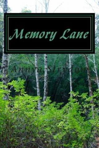 Kniha Memory Lane Annya Strydom