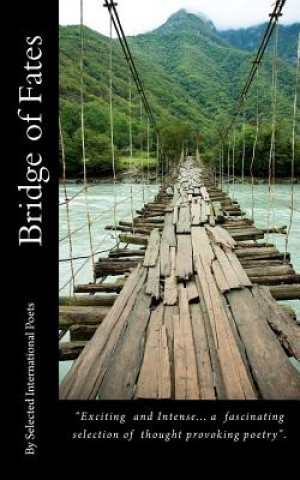 Книга Bridge of Fates Rainbow Reed