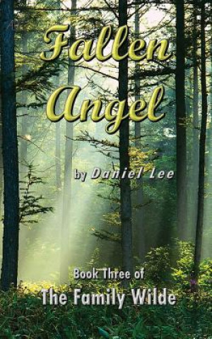 Kniha Fallen Angel Daniel Lee