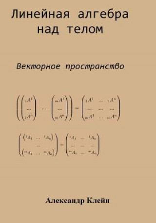 Kniha Linear Algebra Over Division Ring (Russian Edition): Vector Space Aleks Kleyn