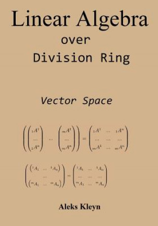 Könyv Linear Algebra Over Division Ring: Vector Space Aleks Kleyn