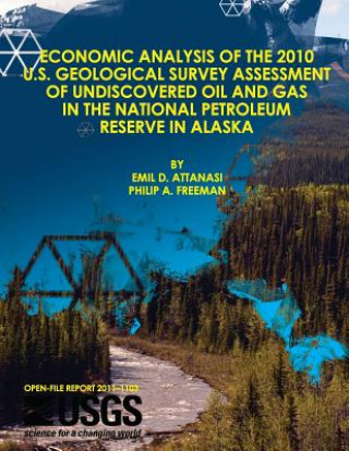 Könyv Economic Analysis of the 2010 U.S. Geological Survey Assessment of Undiscovered Oil and Gas in the National Petroleum Reserve in Alaska U S Department of the Interior