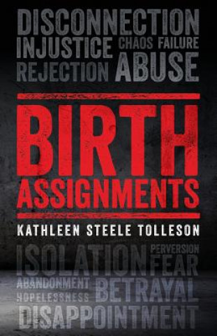 Boek Birth Assignments Kathleen Steele Tolleson
