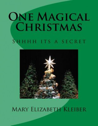 Kniha One Magical Christmas Mary Kleiber