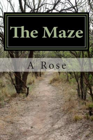 Knjiga The Maze Adie Rose