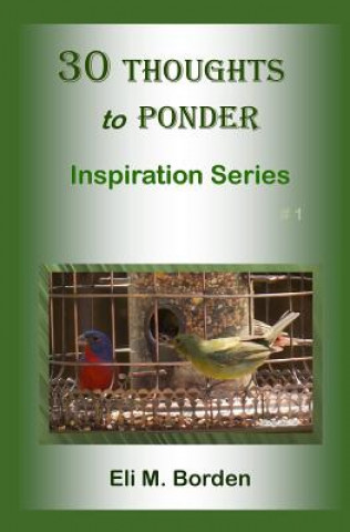 Carte 30 Thoughts to Ponder: Inspiration Series #1 Eli M Borden Phd