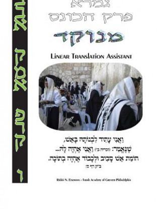 Kniha HaKones - Linear Translation Assistant - Menukad: Bava Kamma Perek #6 - Zichron Avrohom Dovid - 8.5x11 Format Rabb Naftoli Eisemann