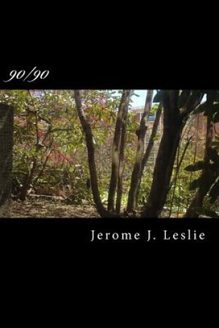 Kniha 90/90: 90 Meditations/90 Days Jerome J Leslie