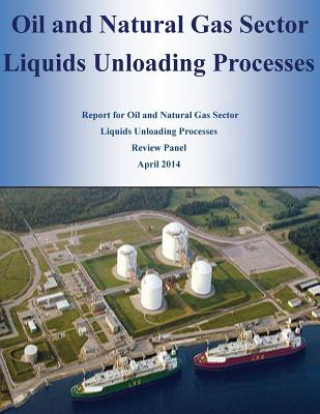 Kniha Oil and Natural Gas Sector Liquids Unloading Processes U S Environmental Protection Agency