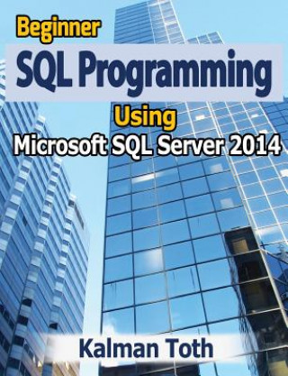 Knjiga Beginner SQL Programming Using Microsoft SQL Server 2014 Kalman Toth