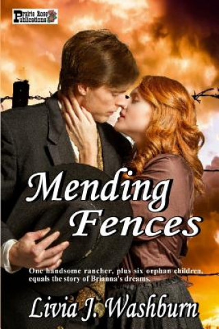 Buch Mending Fences Livia J Washburn