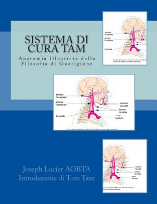 Kniha Sistema di cura TAM - Tam Healing System: Anatomia Illustrata della Filosofia di Guarigione Joseph Lucier Lmt