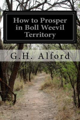 Carte How to Prosper in Boll Weevil Territory G H Alford